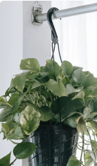 室內(nèi)設(shè)計專業(yè)培訓(xùn);消費者對環(huán)保健康室內(nèi)設(shè)計、家具擺設(shè)和裝飾的需求，已成一股推動力