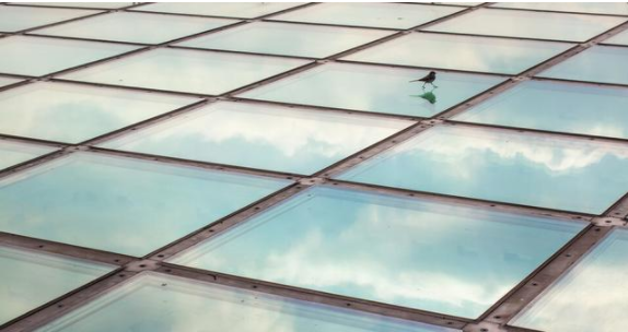 鋁扣板吊頂好還是玻璃吊頂好？