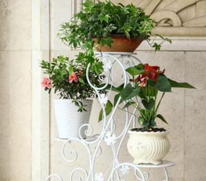 【室內(nèi)花架子】家用花架材質(zhì)都分為哪些？花架挑選技巧分享推薦